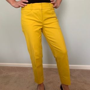 LOFT PANTS